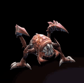 对于43级以上的法师来说还有一个喜讯,魔龙城外的血蛙是可以被召唤