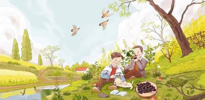 夜读丨桑葚情长_桑树_乌海_小孩