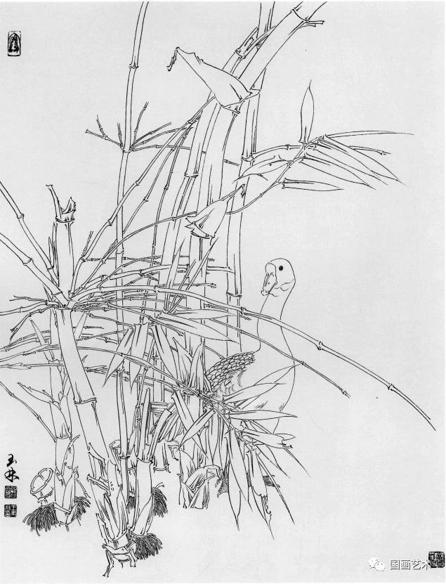 线描竹子画稿，简洁雅致！_搜狐网