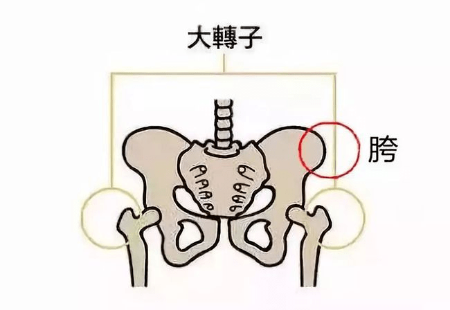 让屁股爽上天的变态知识偷偷实践篇