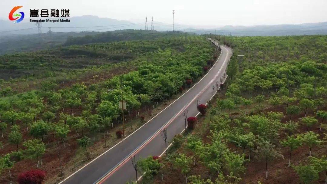 走进乡村看振兴九皋镇做大皂刺产业赋能乡村振兴