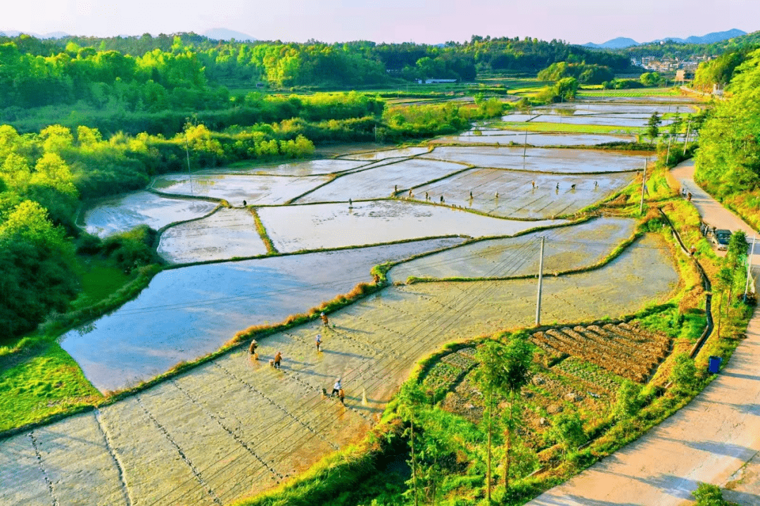 在田野上辛勤耕耘沃野良田生机勃勃赣南大地机声隆隆一年好景在春耕