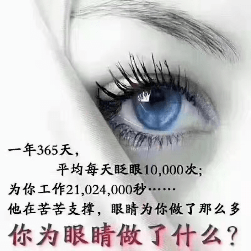 它在苦苦支撑你为它做了什么