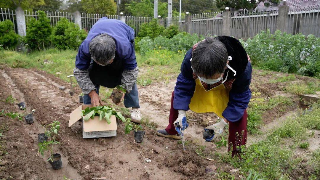 百姓手中,这个过程既繁杂又辛苦,但顾顺昌说这份"苦工作"他做得很开心