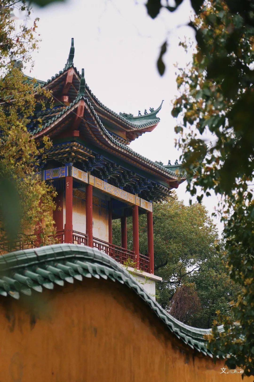 去竹林禅寺踏春祈福,翠竹夹道,曲径通幽,静享宁静淡远的禅意.