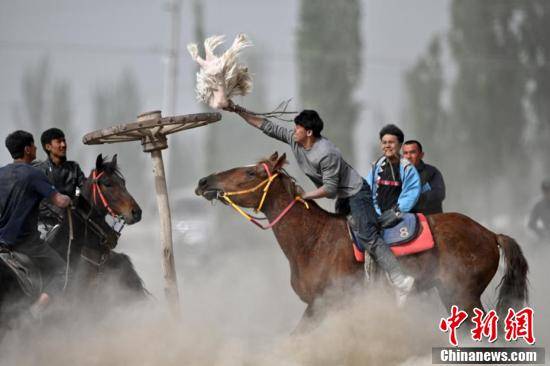 新疆库尔勒：刁羊比赛引客来