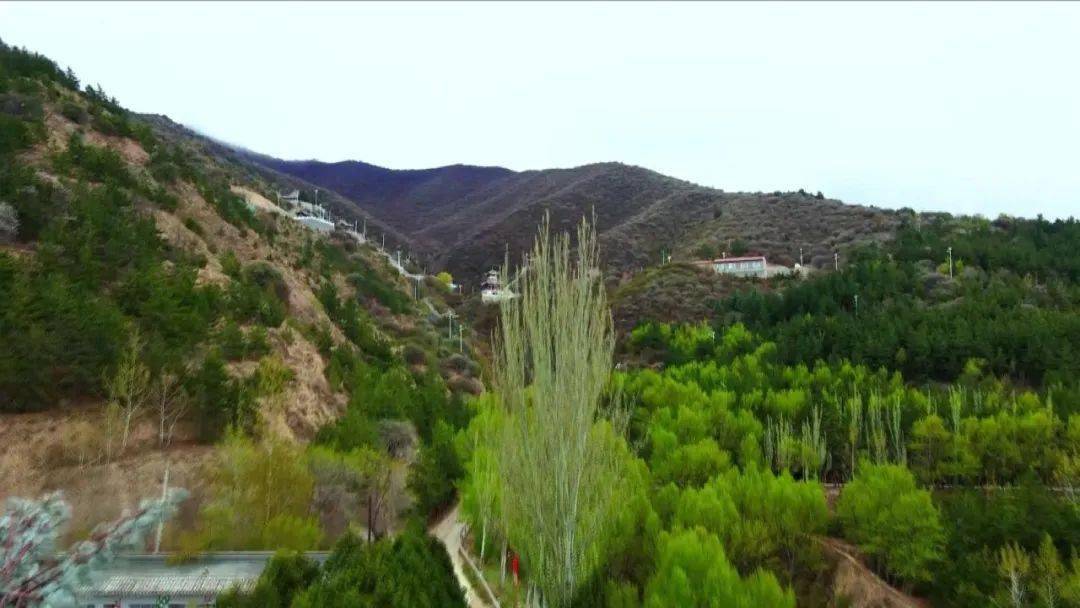 奋进新征程建功新时代会宁县铁木山林场护林员的坚守只为青山常绿