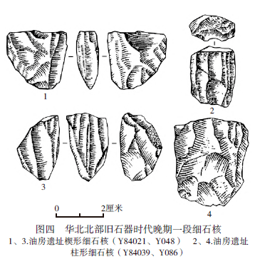 如有学者提到的楔形细石核在操作链后期可转化为锥形细石核[53]或半