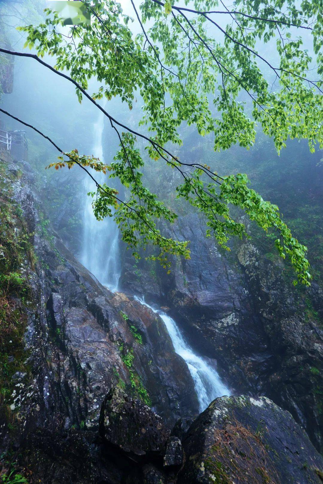 天青色等烟雨而我在明月山等你