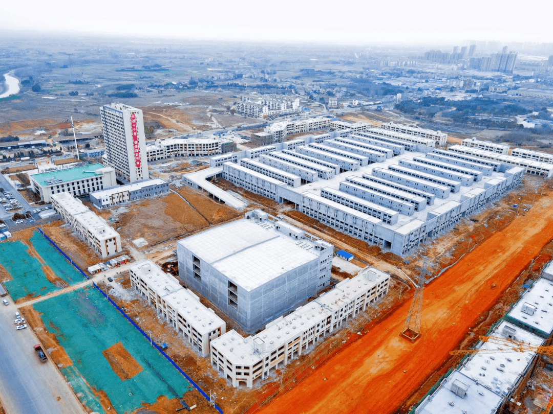 进阶63位孝南区营商环境如何持续优化