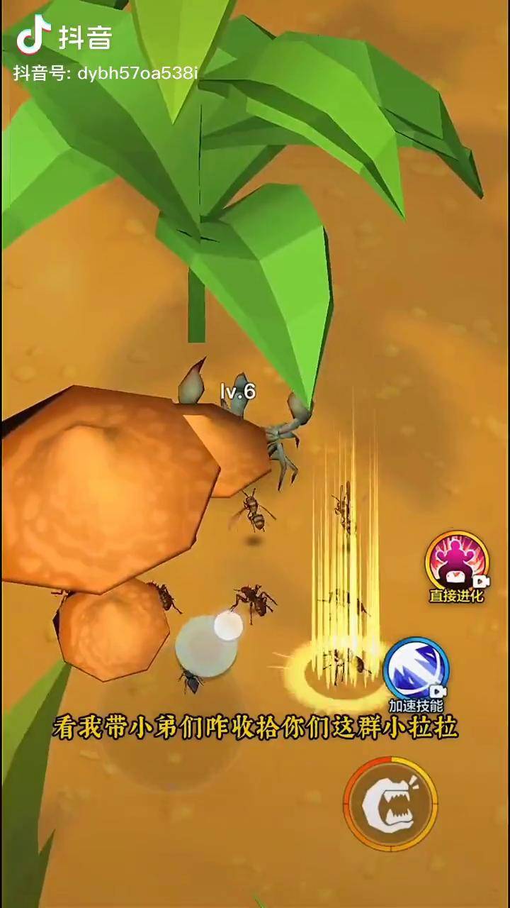 昆虫进化大乱斗小游戏抖音小游戏