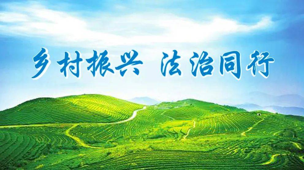 解锁乡村振兴的“金钥匙”——我省运用“四议两公开”工作法破解基层治理难题纪实_邓州_法治_群众