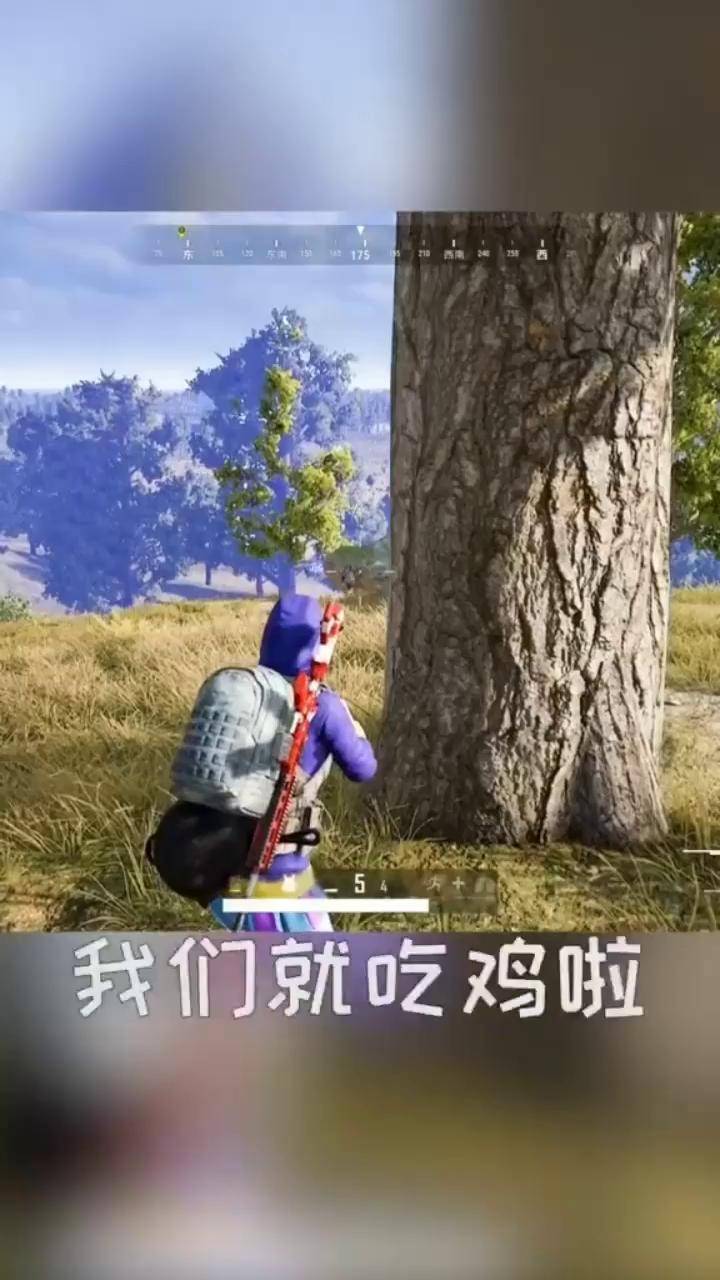 这枪中了就吃鸡了大吉大利小香吃鸡