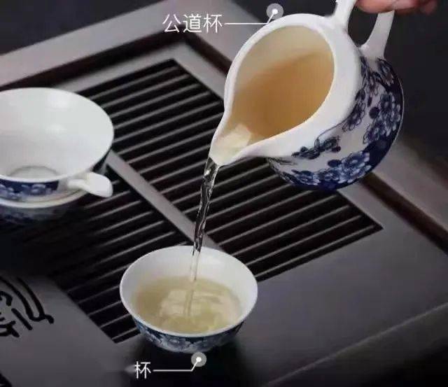 金川区文化馆丨茶艺小课堂第二期乌龙茶茶艺冲泡流程