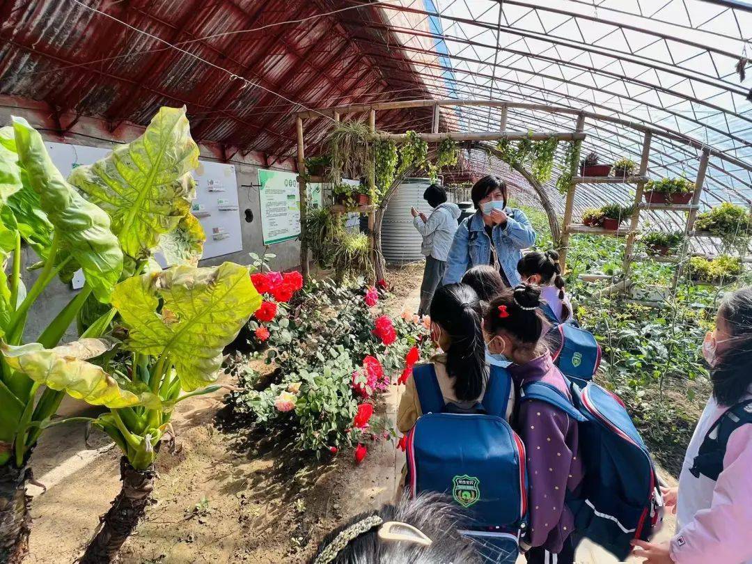 拥抱春天回归自然一起向快乐出发第壹宝贝留民营生态园春游活动圆满