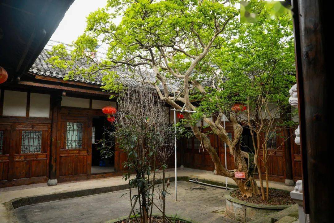 习水罗汉寺袁世宗祠太棒了,每一代祖先记录全在这里!_袁氏_祠堂_族人