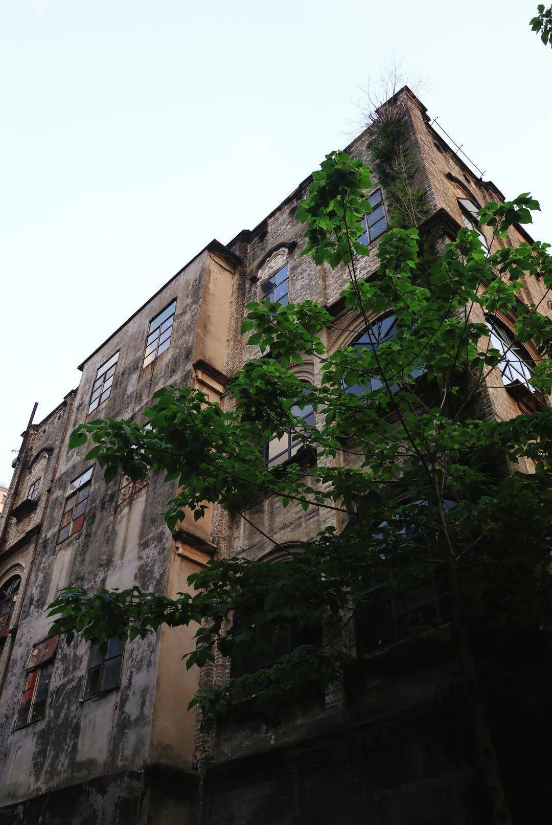 岭南文脉·忆乡愁 | 永安路:百年前的商贸老街,道不尽的商业繁华_佛山