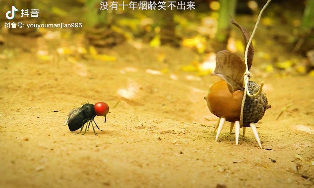 好欠打的蚂蚱啊搞笑蚂蚱昆虫世界