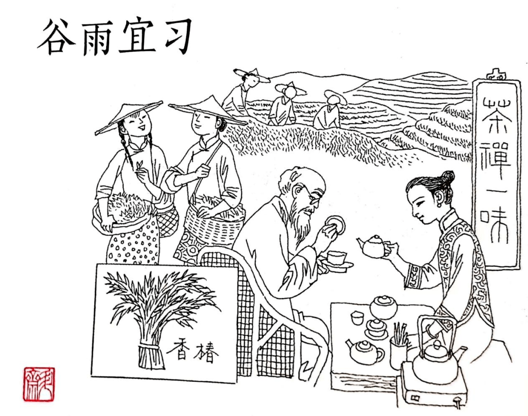 品味茶香二十四节气之谷雨