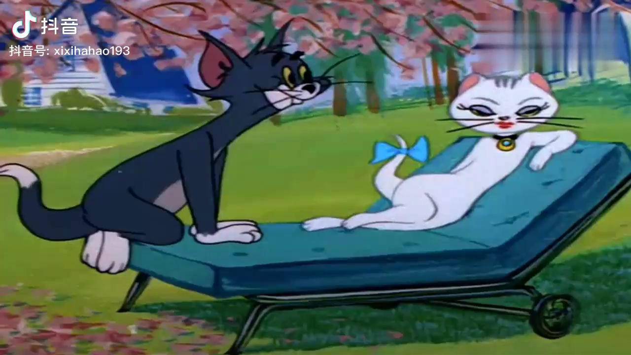 猫和老鼠片段汤姆遇真爱爱而不得搞笑动画动画片儿童视频36岁动画