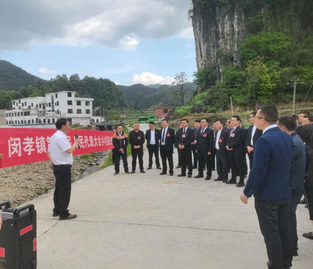 闵孝镇人大组织代表开展乡村振兴工作视察
