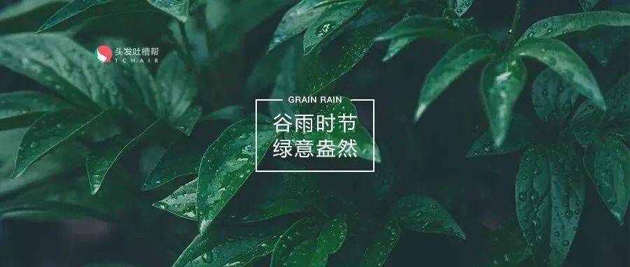今天是谷雨,你要喝一杯茶!_今日谷雨_仓颉_菠萝