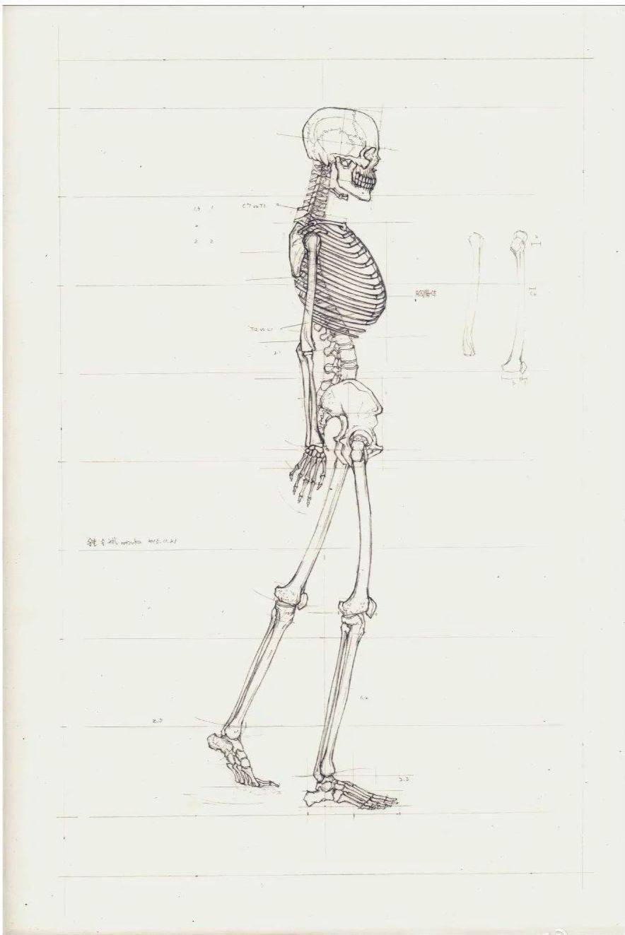 这个医学生来跟美术生抢饭碗了手绘人体结构斩获国际设计大奖圈粉千万
