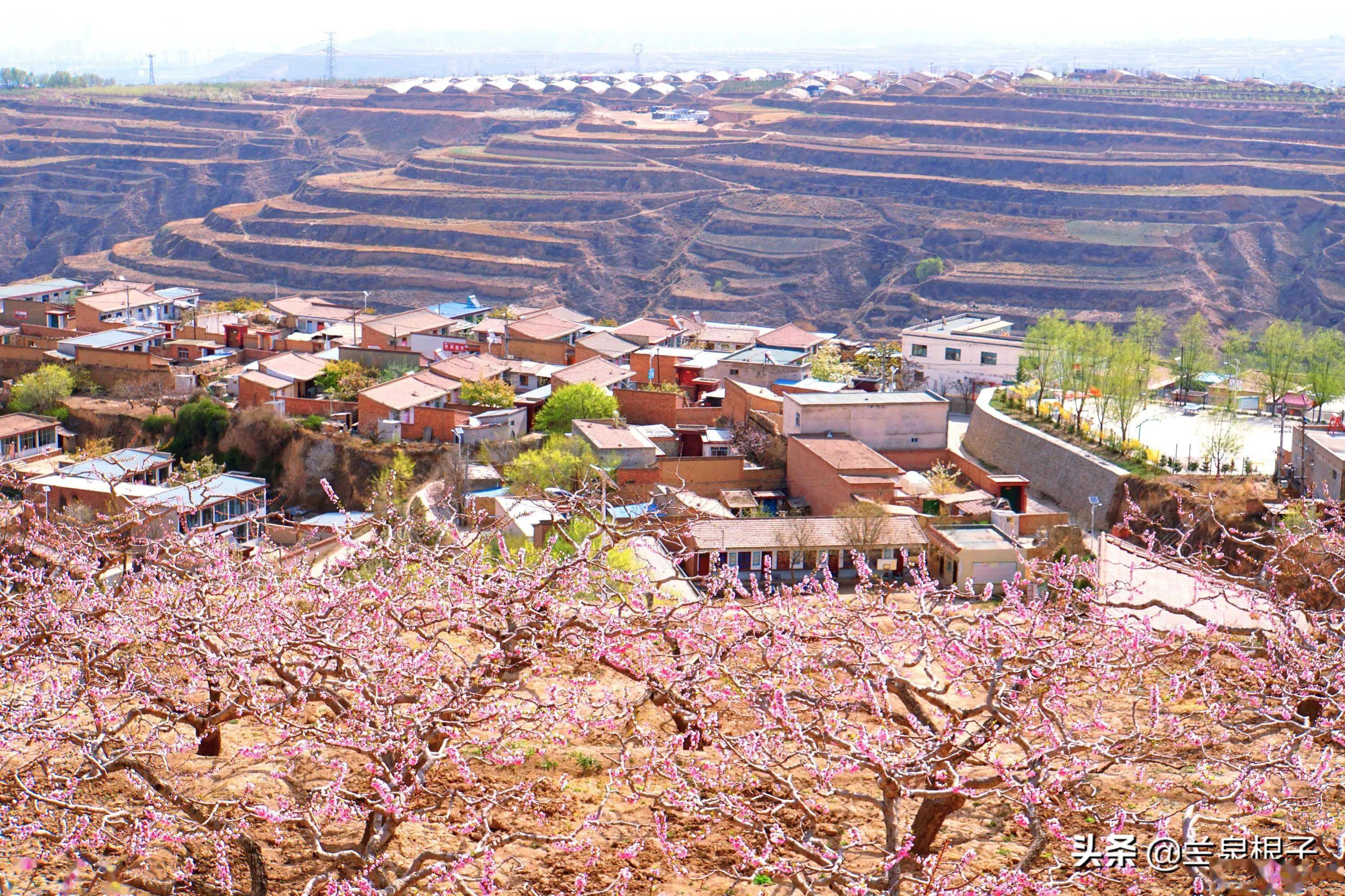 农村春天的景象图片图片