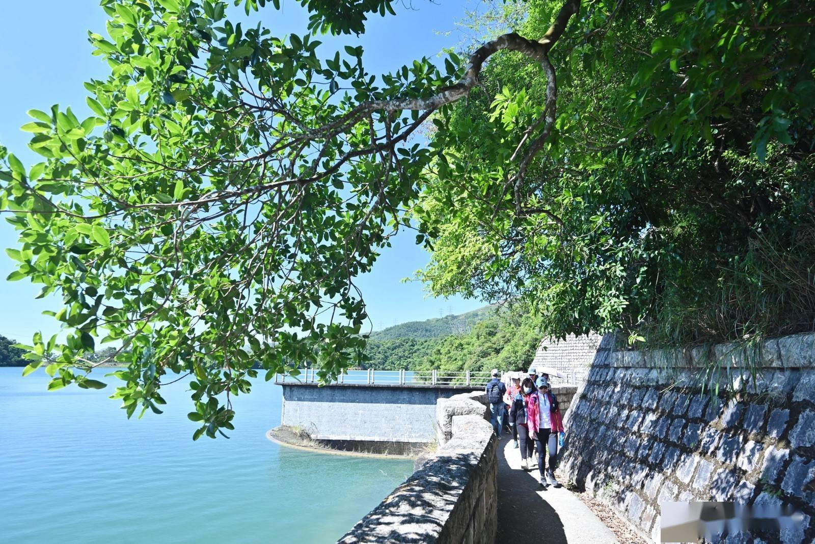 香港水务署放宽水塘钓鱼期，可全年在所有水塘垂钓_搜狐网