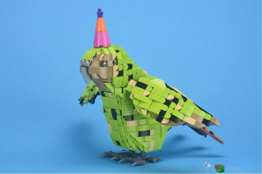 世界上唯一一种不会飞行的鹦鹉用乐高搭建出的它是什么样子呢