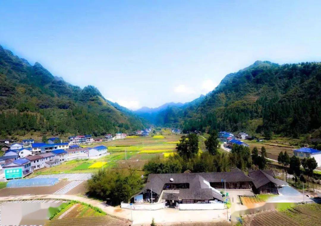 换个视角看中国粽叶之乡