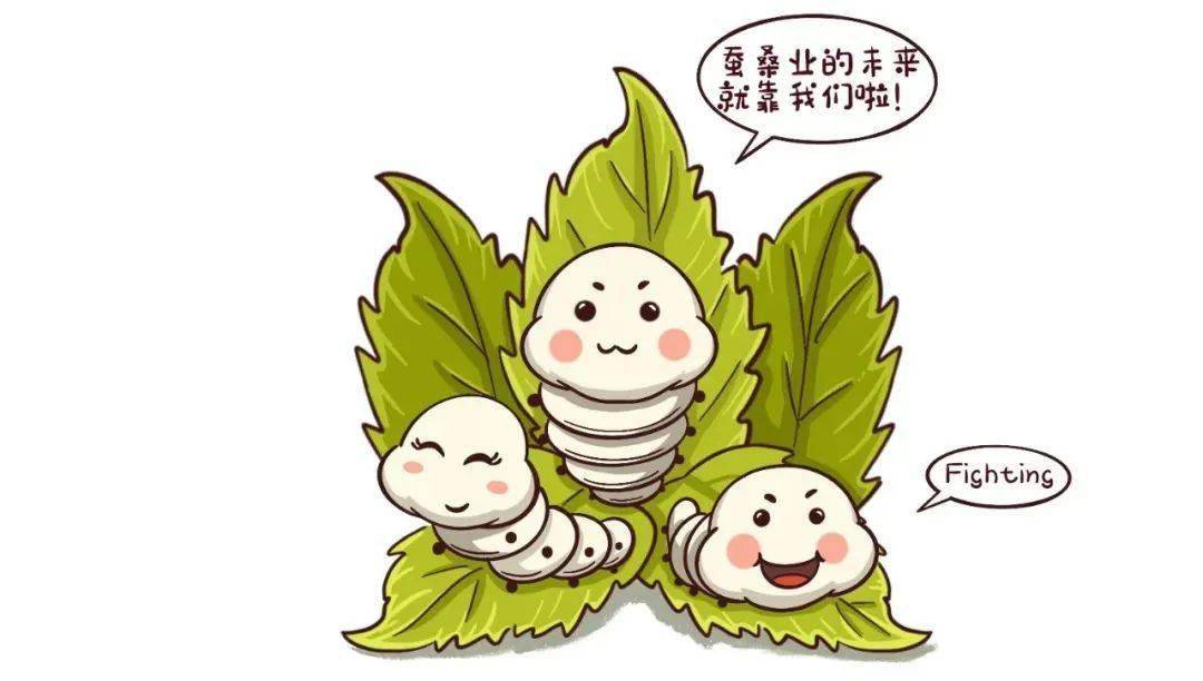 (三候为戴胜降于桑)为夏天的桑蚕业发展打下了坚实的基础桑叶于此时