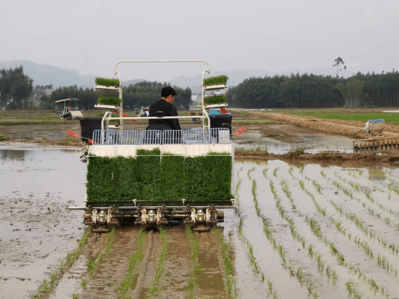 广西春耕投入农机总量达149万台_作业_服务_机械化