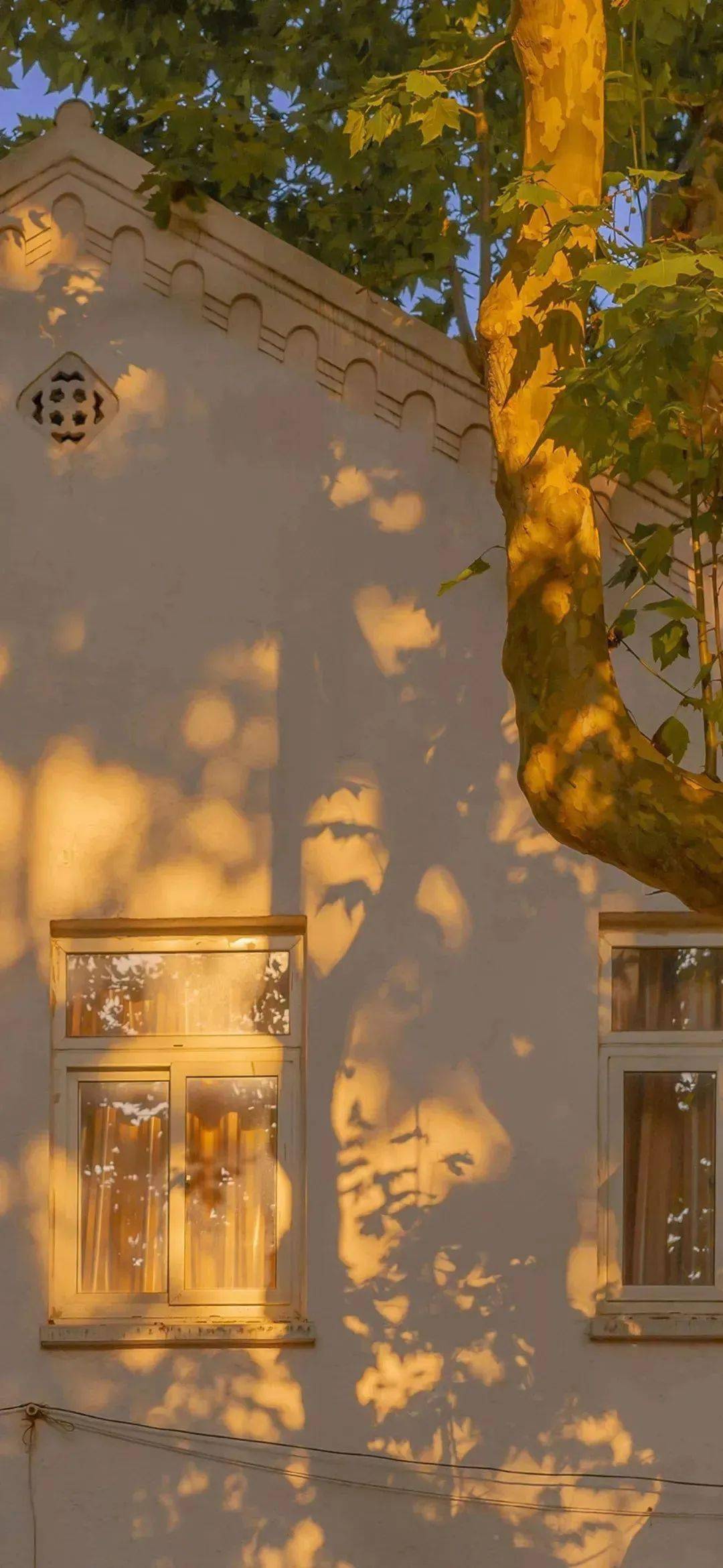 超多小众又好看的壁纸