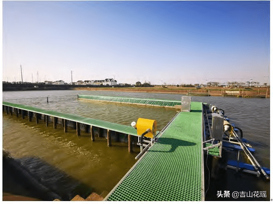 鲫鱼流水槽生态养殖试验研究