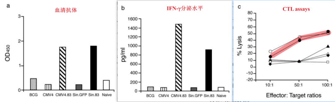 encoding the mpt83 antigen induces protective immune responses