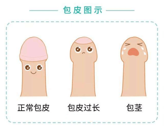 来自搜狐网