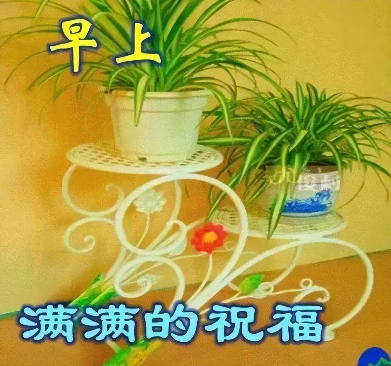 早安吉祥:眸裡芬芳,蝴蝶自來;心之若素,香自滿懷,早安_祝福_時光_問候