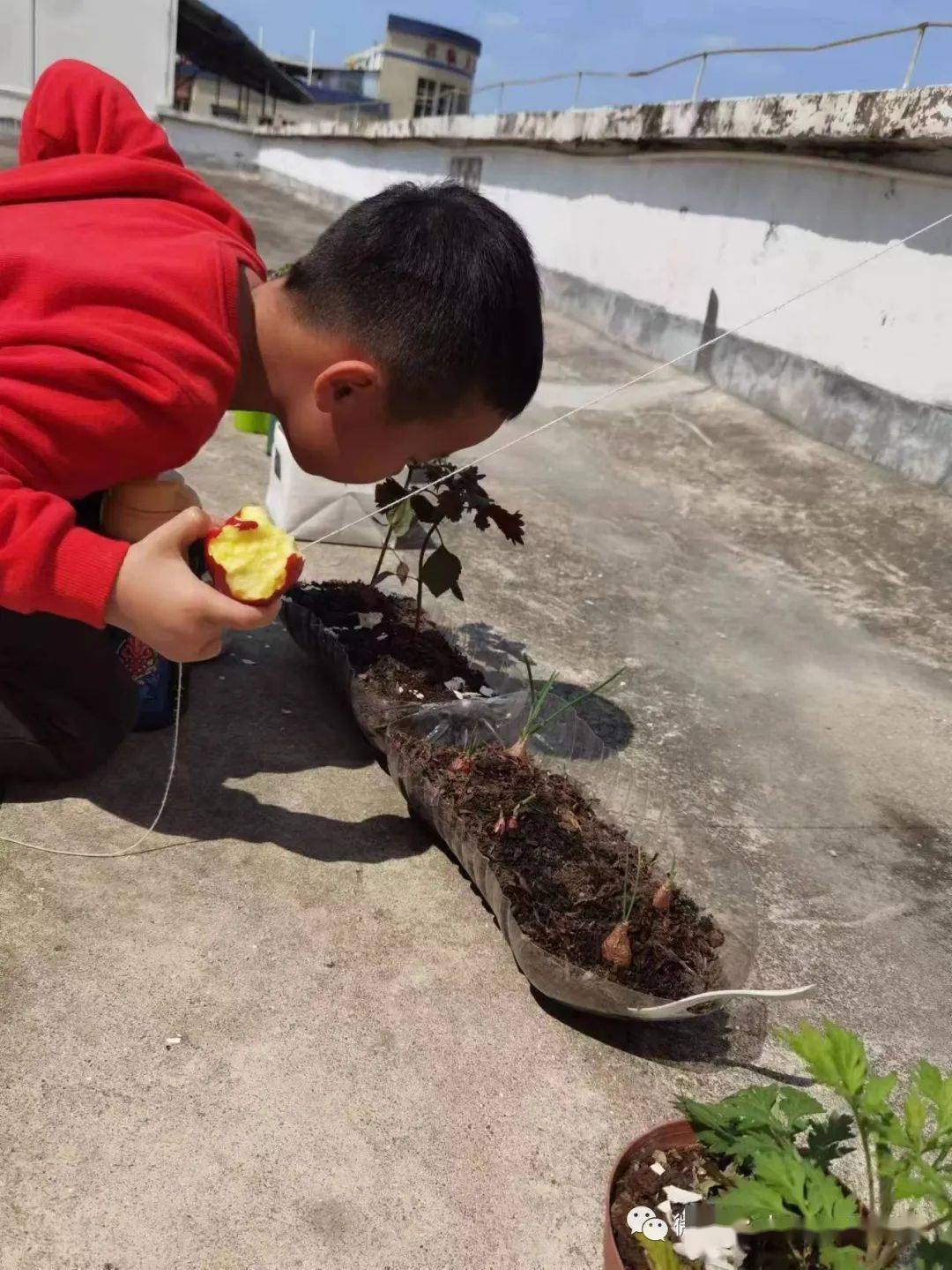 世界地球日做堆肥理解人与自然与生态循环的关系