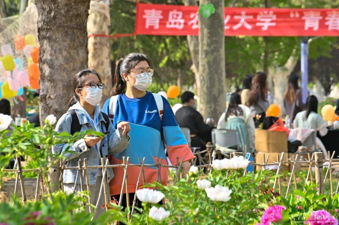 花園的春風7676如今已是春色滿園4000餘株牡丹競相開放青島農業