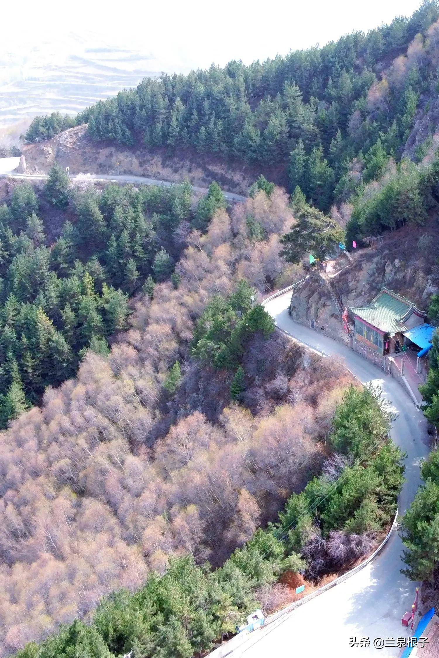 兰州民间传说中的金花娘娘烧火棍_关山_松树_南堡