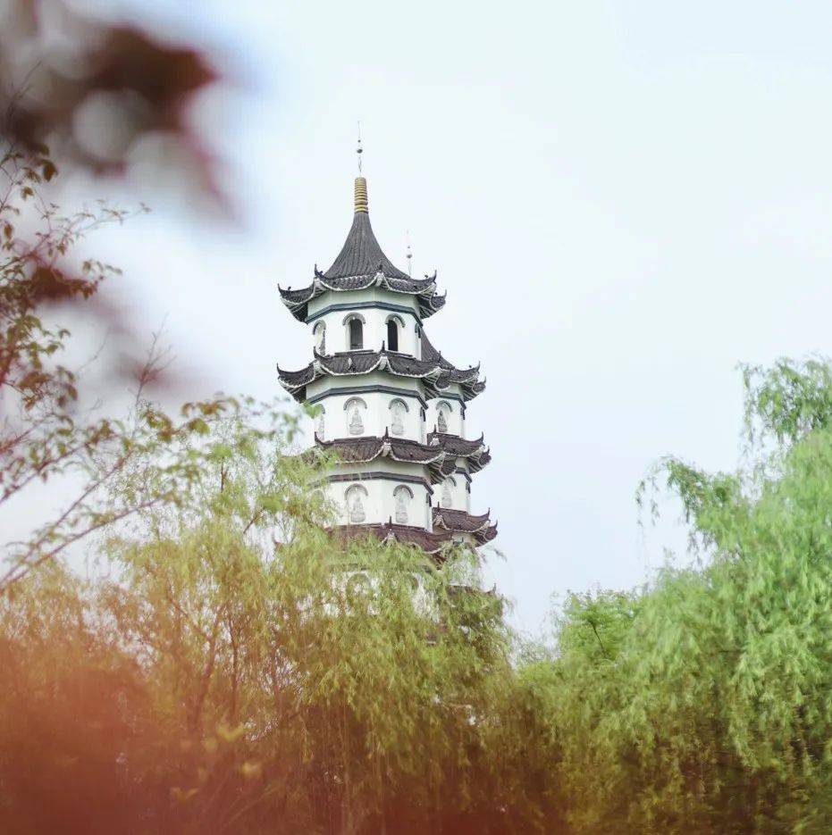 慢下来，发现七都的美好_生活_太湖_蚕豆