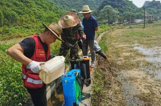 太陽村鎮四合村工作隊員韋香純在為種植基地調配除草農藥太陽村鎮四合