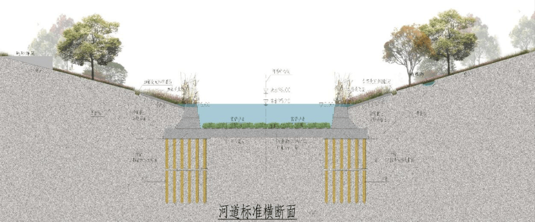 河道断面示意图"岸"上通过设置植草沟,雨水花园,河道清水型湿地等"