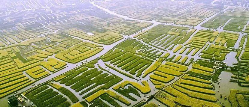 垛田,台田,熟制,耕作制度,复种指数,果实套袋,塑料薄膜,铺鹅软石农业