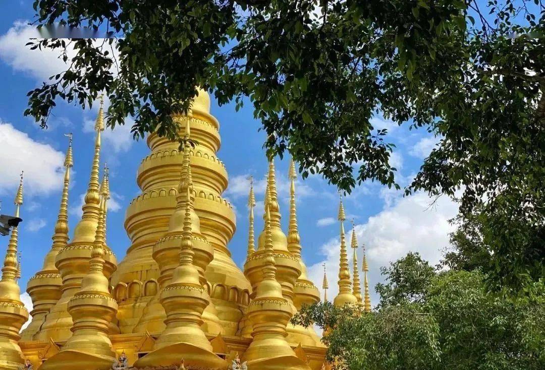 庄西双_热带_中国