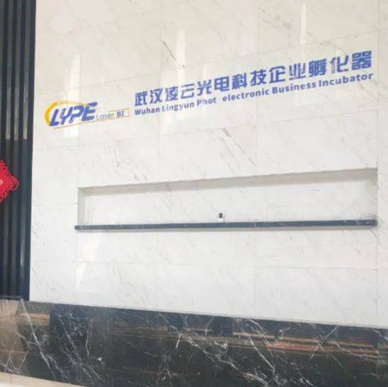 国家级名单！光谷5家入选！_企业_孵化器_科技