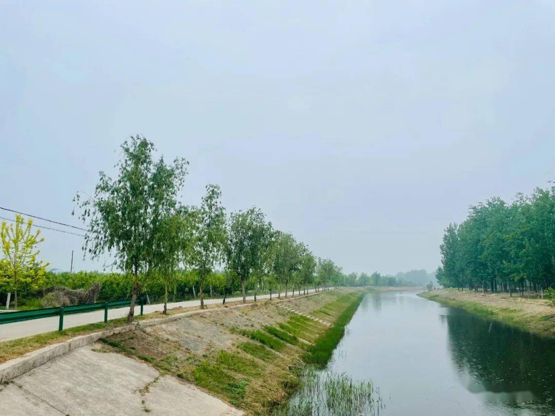 清河行动 | 唐寨镇:强力推进"清河行动"_砀山县_河道_宣传