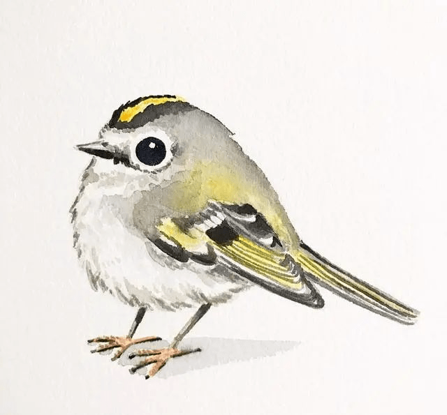 这组动物水彩太适合新手临摹了简单又好看