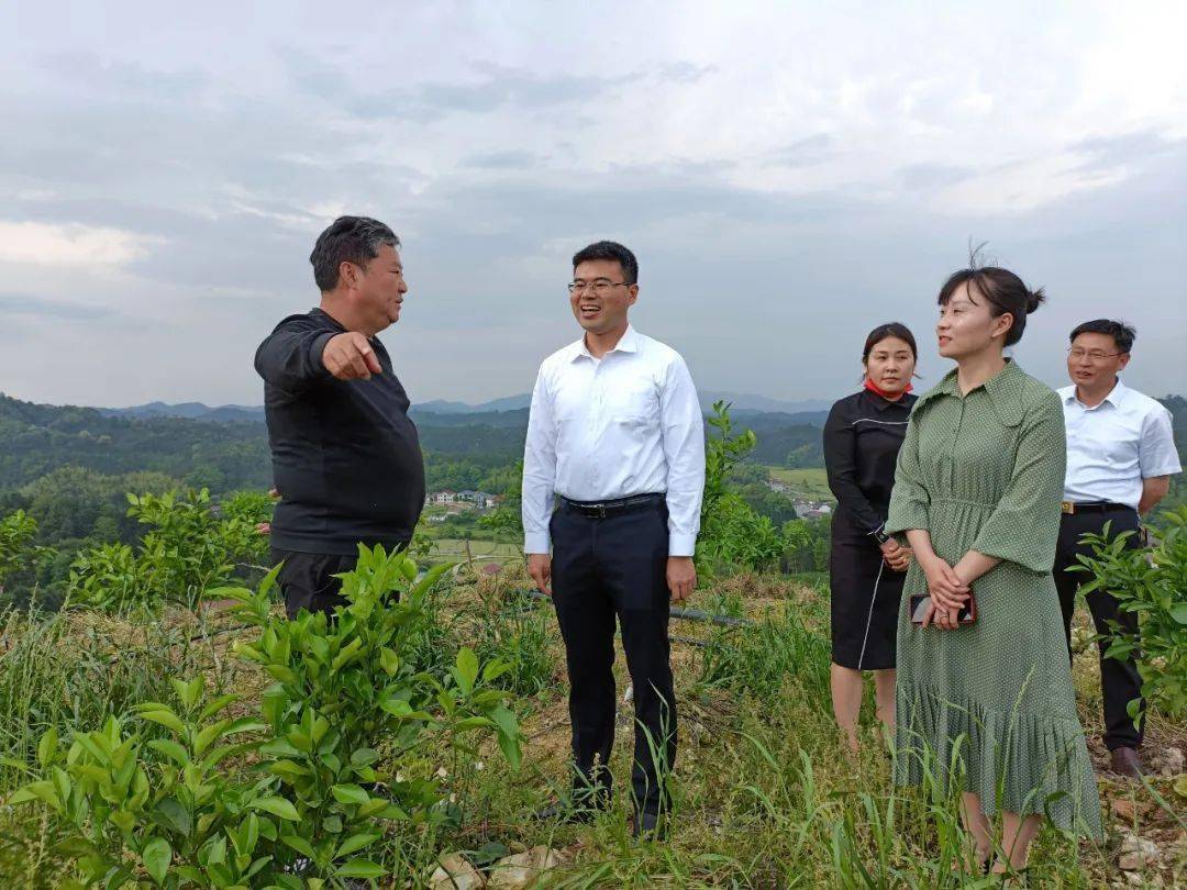 谢淘全面推进乡村振兴稳住农业基本盘